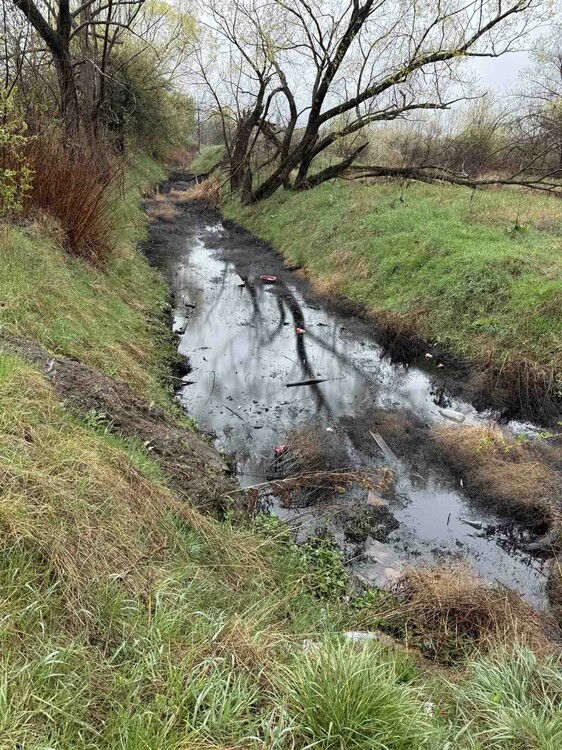Водите на река Новачица са мътни заради временно отбит канализационен Водите на река Новачица са мътни заради временно отбит канализационен колектор на „Софийска вода“ АД, има издадени разрешения