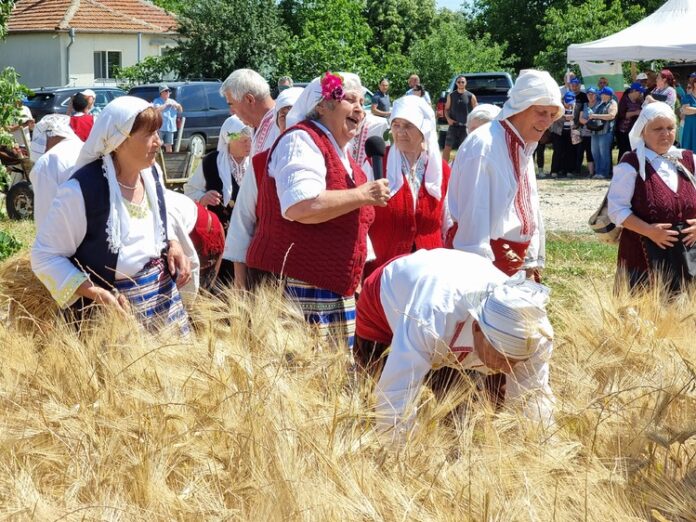 Жътвената кампания в Ямболско започва с пресъздаване на народния обичай "зажънване" и водосвет