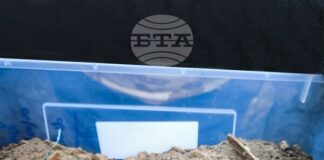 Аджерпрес: Древни артефакти, открити в цитаделата Калатис в Румъния, вероятно ще бъдат включени в списъка на националното културно наследство