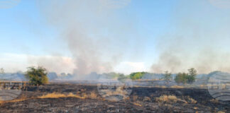 България е с най-засегнатата територия от пожари за последните две години в ЕС, за днес е обявен червен код в осем области