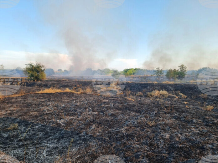 България е с най-засегнатата територия от пожари за последните две години в ЕС, за днес е обявен червен код в осем области
