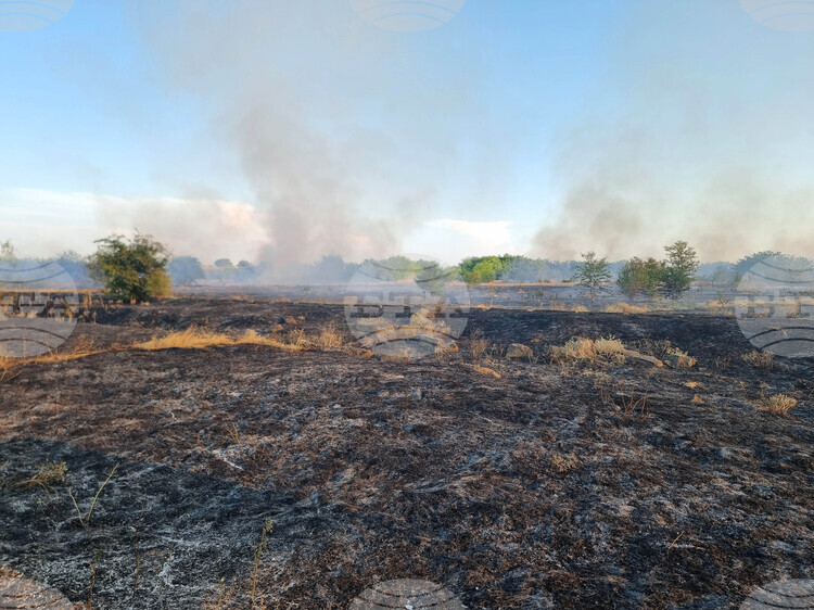 СподелиВ последния двугодишен период 2024 2025 г България е изправена пред