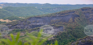 Дъжд е намалил интензивността на пожара, който гори от вчера в района на Горно Спанчево