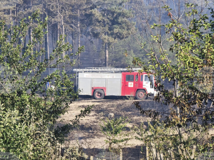 Дежурен екип ще остане през цялата нощ в района на Дежурен екип ще остане през цялата нощ в района на пожара край Айтос