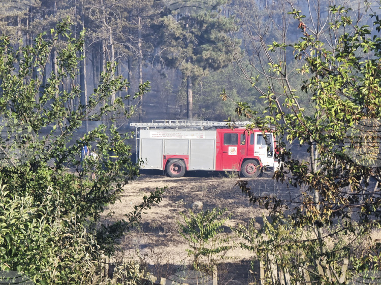 СподелиДесетки декари с изсъхнали треви и храсти бяха унищожени при
