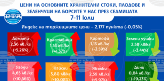 Дините поевтиняват с над 19 процента, а останалите плодове поскъпват на борсите у нас през седмицата, по данни на ДКСБТ