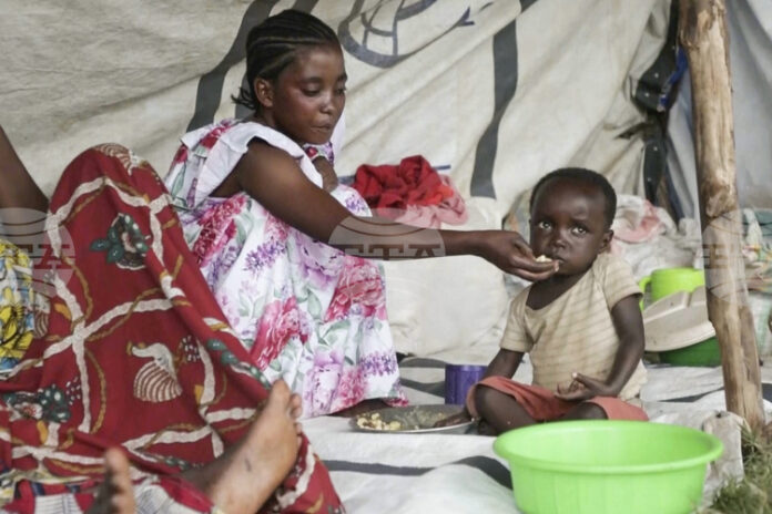 Доклад на ООН показва леко, но недостатъчно подобрение на ситуацията с глада по света