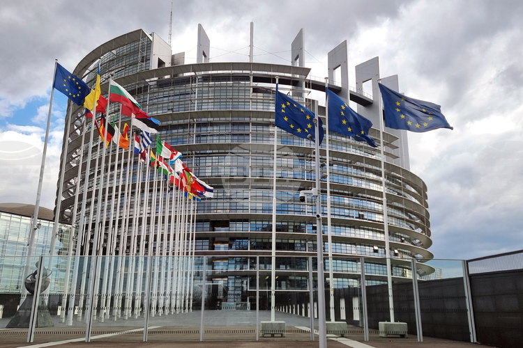 СподелиДнес в Страсбург Европейският парламент ще проведе гласуване за вот