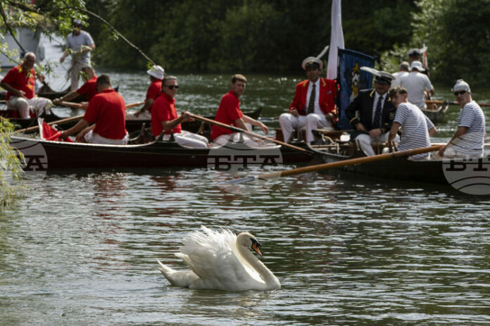 Ежегодното преброяване на лебедите на Чарлз Трети започна във Великобритания