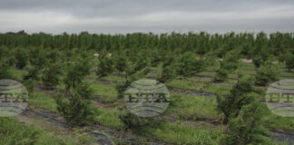 Финансовият надзорен орган на Г-20 представи план за климата, но настоя за пауза на фона на противоречията между отделните страни