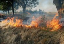 Пожарна опасност на Балканския полуостров: България и съседите в огнен ужас Пожари