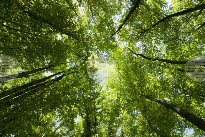 Граждански организации у нас ще обявят на пресконференция общо становище Граждански организации у нас ще обявят на пресконференция общо становище по проекта на българския Социален план за климата