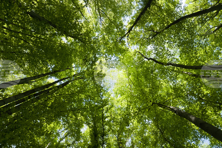 СподелиУтре в Националния пресклуб на БТА в София 15 граждански