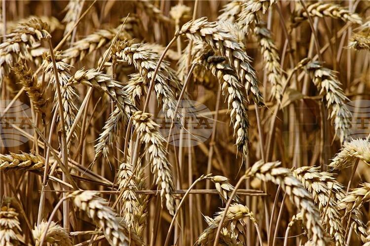 СподелиХърватската земеделска камара ХЗК декларира своята категорична подкрепа за мирния