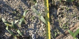 Обезвредиха корозирала ръчна граната, открита до стената на язовир „Климент”