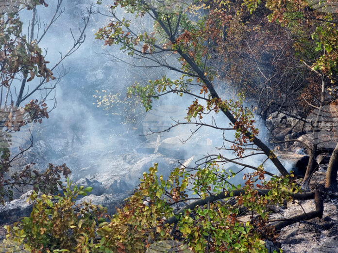 Община Костинброд обяви частично бедствено положение във връзка с възникналия голям пожар на територията на селата Опицвет, Безден и Богьовци