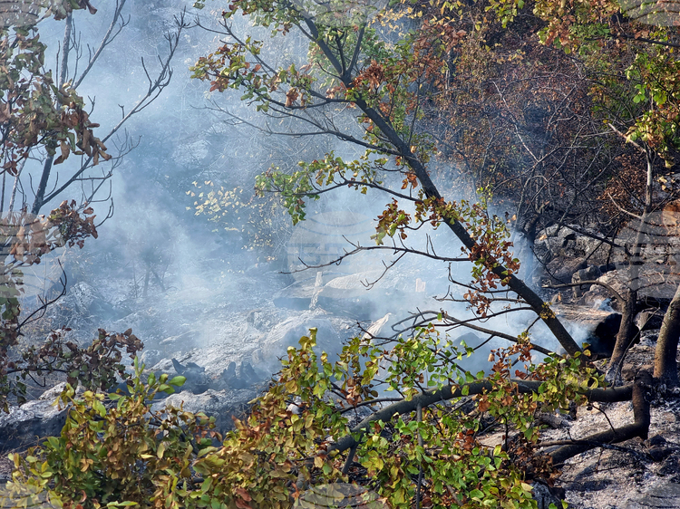 СподелиОбщина Костинброд е въвела частично бедствено положение заради сериозния пожар