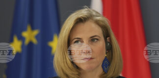 Постоянният представител на Австрия в ЕС Томас Оберрайтер подадe оставка след съобщения, че е водил анонимен блог със сексуално съдържание