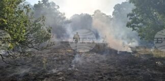 Повече от 50 военнослужещи продължават борбата с огъня на територията на учебния център „Сливница“