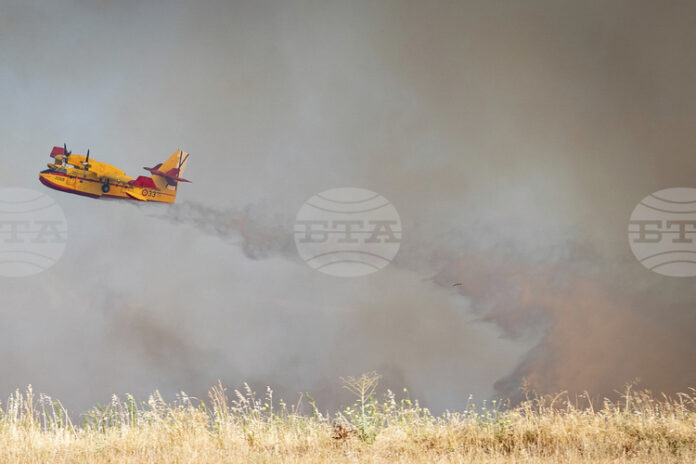 Презастрахователят "Мюних Ре" отчете по-висока от очакваното печалба и потвърди годишната си цел