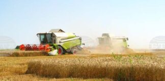 При среден добив между 700 и 750 килограма на декар приключи жътвата за земеделските кооперации в Силистренско