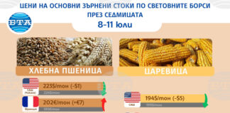 Разнопосочно движение в цените на основните зърнени стоки по световните борси през седмицата, по данни на Софийската стокова борса