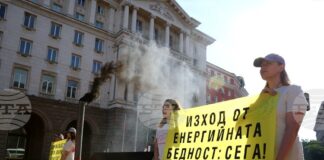 С печка за дърва и соларен панел от "Грийнпийс България" призоваха държавата да реши проблема с енергийната бедност