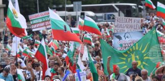 С шествие приключи протестът в защита на българския лев в София