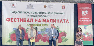 Самоковското плато става изключително гостоприемен ареал за отглеждане на малини и ягодоплодни, каза председателят на малинопроизводителите Божидар Петков