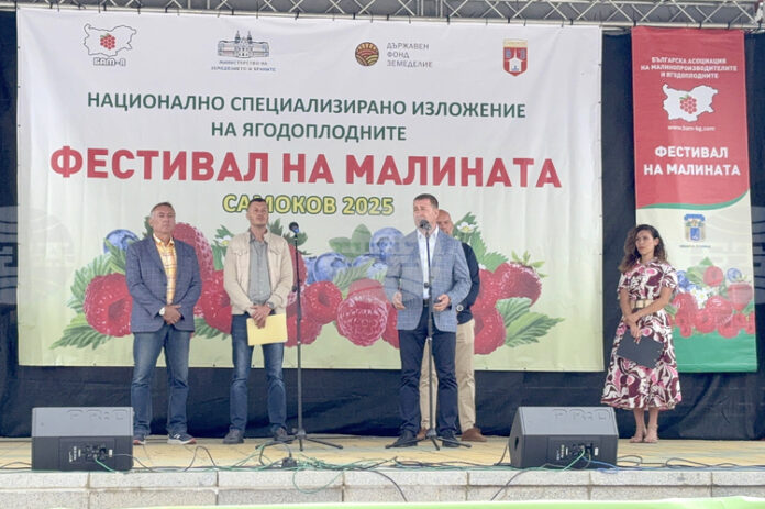 Самоковското плато става изключително гостоприемен ареал за отглеждане на малини и ягодоплодни, каза председателят на малинопроизводителите Божидар Петков