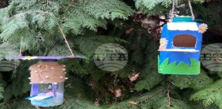 Ученици строят домове за птици от отпадъчни материали по международен проект