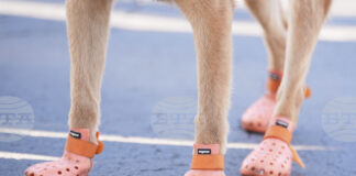 Виена тества нови видове асфалт, който не се нагрява и пропуска вода