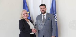 Активното сътрудничество в рамките на ЕС и НАТО обсъдиха министър Георг Георгиев и посланикът на Швеция Катарина Рангнит