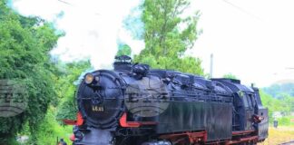 Атракционен влак с парен локомотив ще пристигне в Долни Раковец в Деня на Съединението