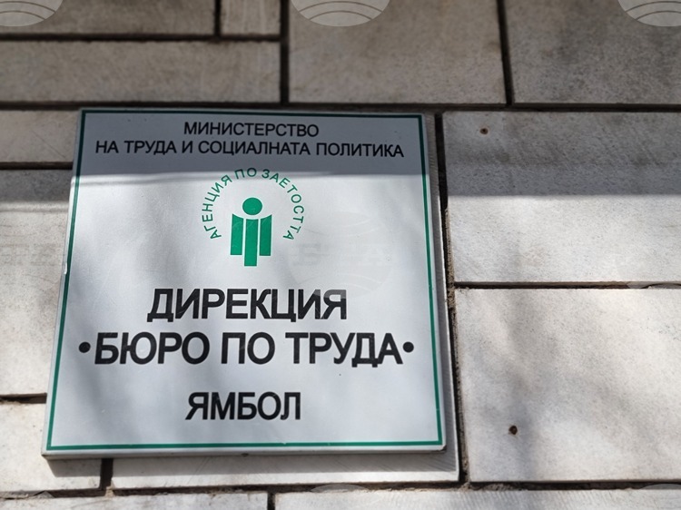 СподелиОколо 20 от регистрираните свободни работни позиции в Дирекция Бюро