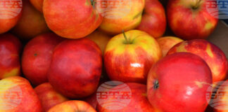 Държавен фонд "Земеделие" одобри заявителите по схемите "Училищен плод" и "Училищно мляко" за новата учебна година