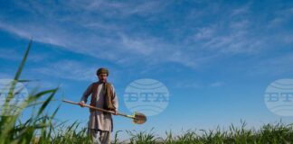 ФАО и Великобритания стартират инициатива за повишаване на устойчивостта на селските райони и продоволствената сигурност в Афганистан