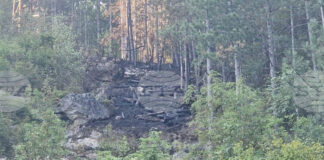 Игра с пиратки е причинила пожара в Шуменското плато, съобщиха от природния парк