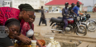 Наложената от Нигерия временна забрана за износ на сурови ядки ший цели да стимулира местните преработватели