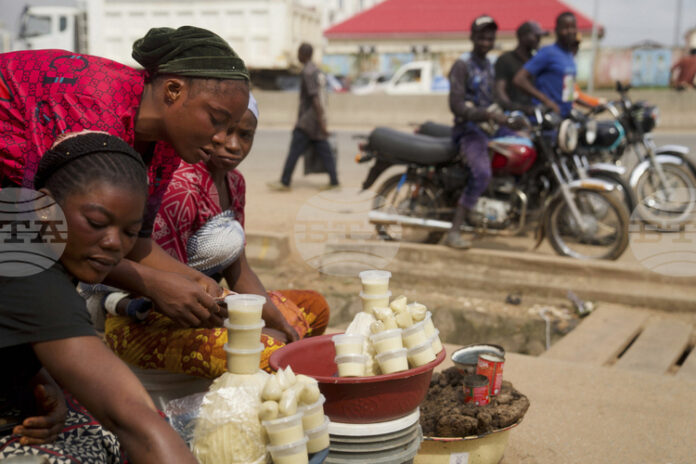 Наложената от Нигерия временна забрана за износ на сурови ядки ший цели да стимулира местните преработватели