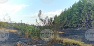 ОБНОВЕНА Пожарът край гълъбовското село Обручище е локализиран, частичното бедствено положение остава в рамките на 48 часа