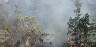 Общо 118 пожара са потушени в страната през изминалото денонощие, пострадала е 79-годишна жена