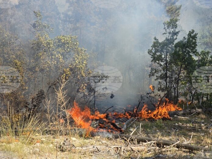 Общо 118 пожара са потушени в страната през изминалото денонощие, пострадала е 79-годишна жена