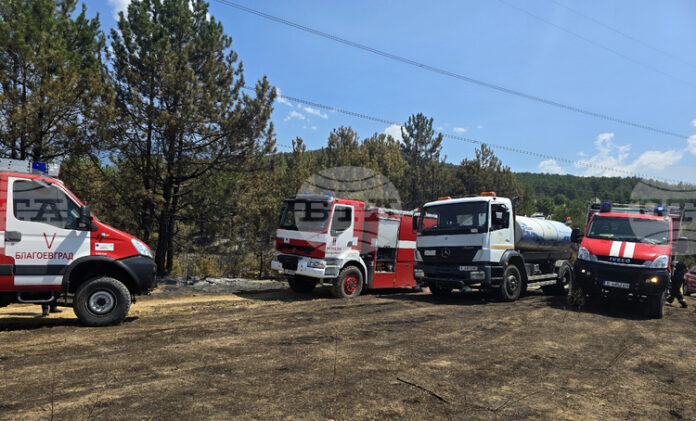 Огънят над село Илинденци е навлязъл на територията на Национален парк "Пирин", засегнати са около 15 декара
