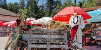 Около десет местни производители на праскови се включиха в третото издание на Празника на храбринската праскова