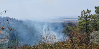Овладян е пожарът между селата Градец и Царичина, съобщи за БТА кметът на Костинброд Трайко Младенов