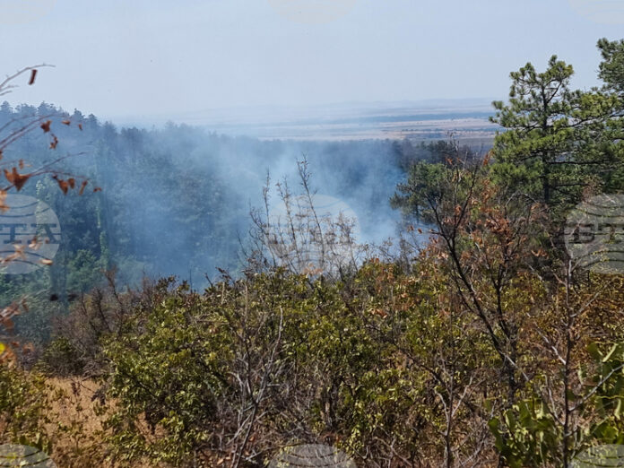 Овладян е пожарът между селата Градец и Царичина, съобщи за БТА кметът на Костинброд Трайко Младенов