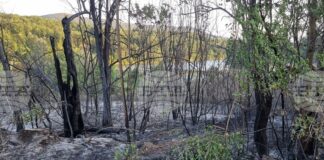 Потушен е пожарът в местността Стублата край Враца