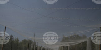 ПРЕГЛЕД НА ПЕЧАТА
                                                                                                Срещата между Тръмп и Путин тази вечер е водещата тема в западния печат