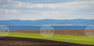 Проект на Закон за изменение и допълнение на Закона за подпомагане на земеделските производители е публикуван за обществено обсъждане, съобщиха от МЗХ
